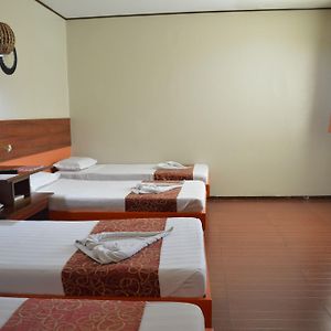 Andy Hotel